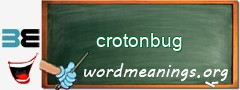 WordMeaning blackboard for crotonbug